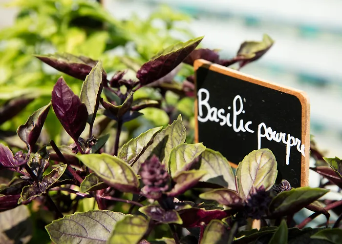 Radisson Blu Hotel Nice